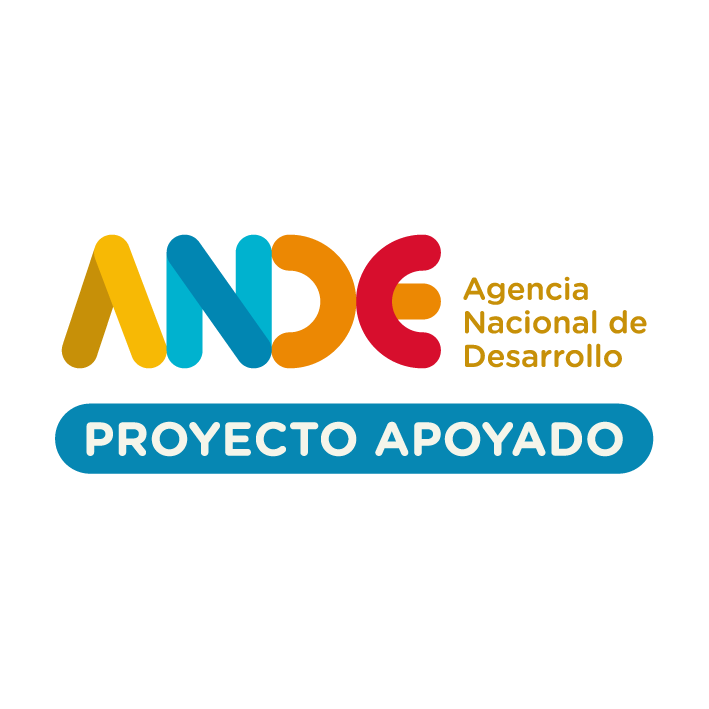 ANDE